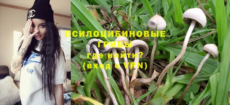 Псилоцибиновые грибы Magic Shrooms Полярный