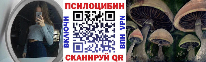Псилоцибиновые грибы GOLDEN TEACHER  продажа наркотиков  маркетплейс какой сайт  Полярный 