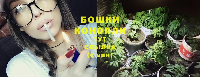 Конопля SATIVA & INDICA  Полярный 